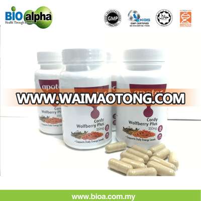 best herbal medicine wolfberry plus cordyceps capsules in Waimaotong for sale