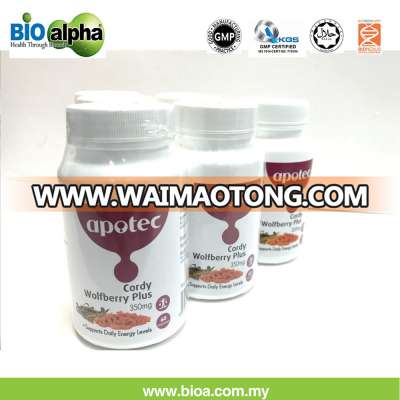 wholesale cordyceps sinensis capsule imported from Malaysia for sale