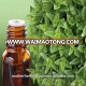 Origanum Marjorana Oil